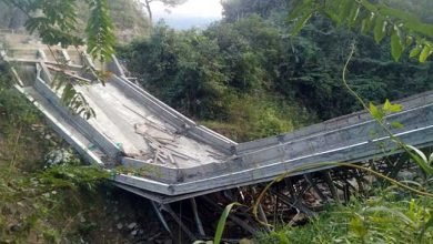 Arunachal: Under construction steel suspension bridge near Balemu collapse, 4 injured