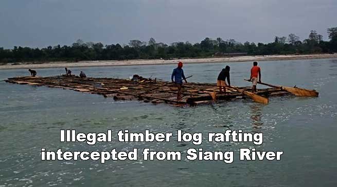 Arunachal: Illegal timber log rafting intercepted from Siang River