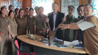 Novel initiative: ABK Secretary surrenders home decorative Sambar horn and Bear hook to the forest dept
