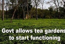 Arunachal govt allows tea gardens to start functioning from April 15