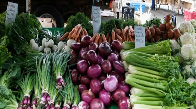 Activate Arunachal Agricultural Produce Marketing Committee- Horticulture Secretary
