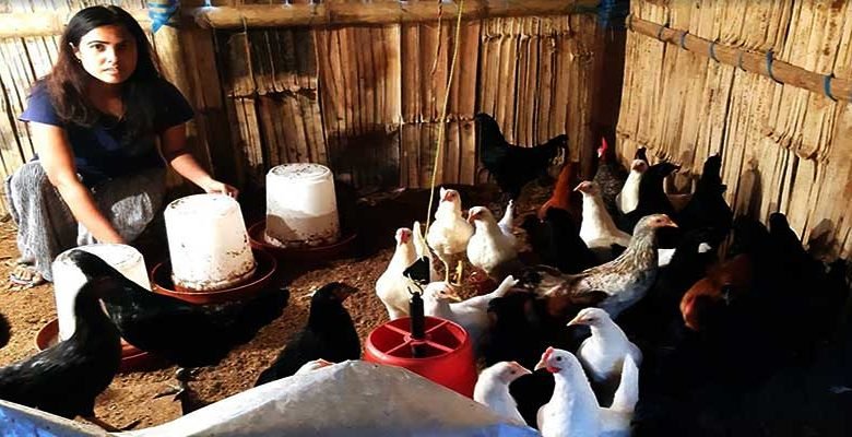 Arunachal: Kalinga Brown bird boon for Hill Region