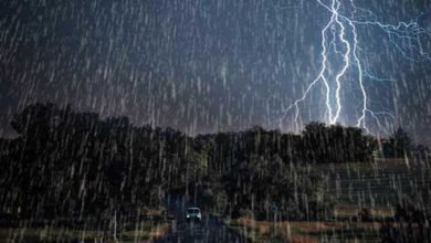 Rains expected in Arunachal Pradesh, Assam, and Meghalaya: IMD