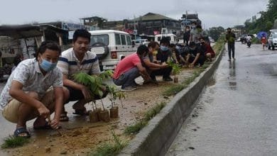 Itanagar- 300 saplings planted along NH-415 by youths of Ward No-6
