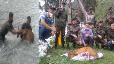 Arunachal:  Indian army rescues wildlife in west kameng