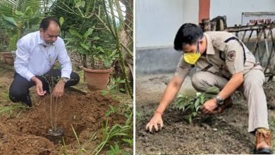 Itanagar- APP planted 4500 saplings across the state