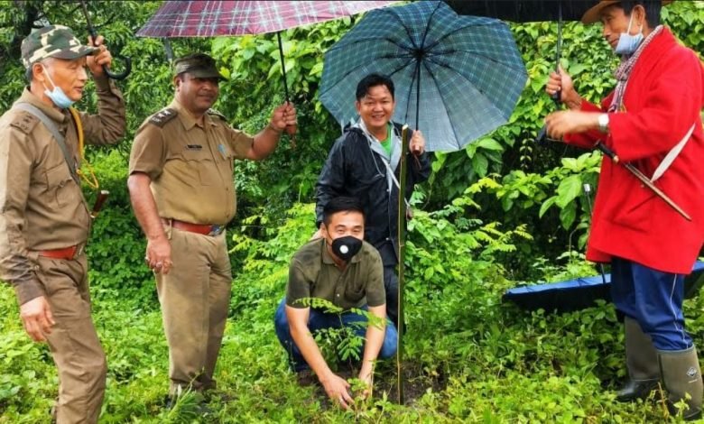 Arunachal: Plantation drive carried out in tune with Clean, Green Arunachal campaign
