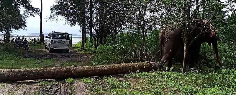 Arunachal: Villagers carry out voluntary flood protection works to minimize soil erosion