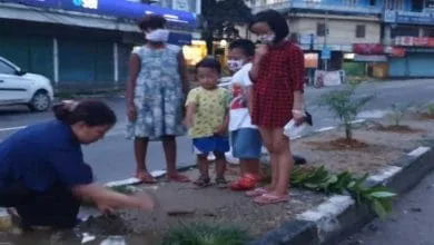 Itanagar: Woman planting sapplings by the road side is giving us a lesson