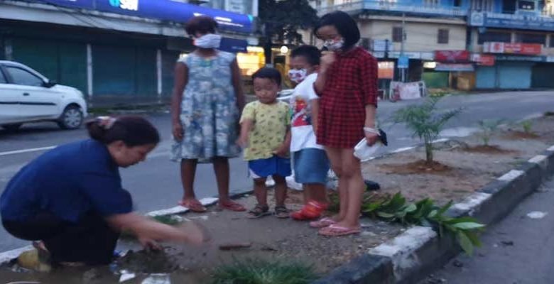 Itanagar: Woman planting sapplings by the road side is giving us a lesson