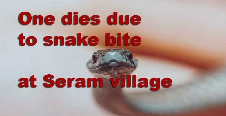 Arunachal: One dies due to snake bite at Seram village