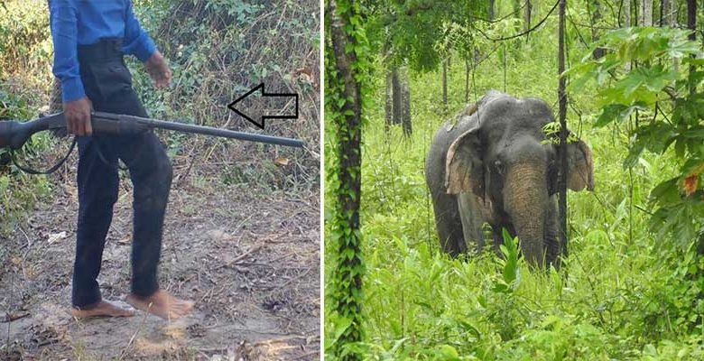 Arunachal: Patrolling staff shortages in D. Ering WL Sanctuary puts wild animals prone to poachers