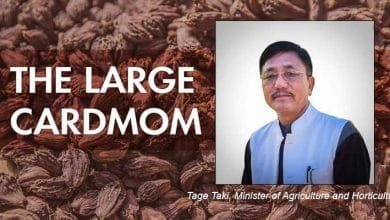 Arunachal Pradesh all set to double the production of large cardamom- Tage Taki