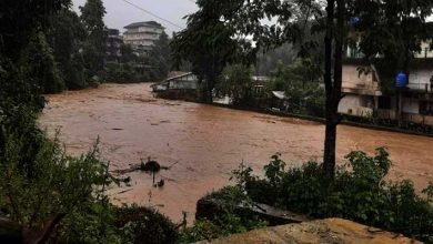 Arunachal Flood: 2 drown in Ego river in Leparada's Dai circle