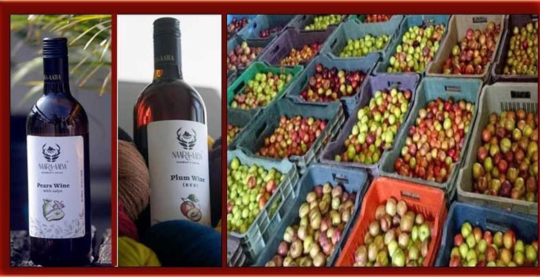 Arunachal: After Kiwi, now pears and plum wines launched in ziro