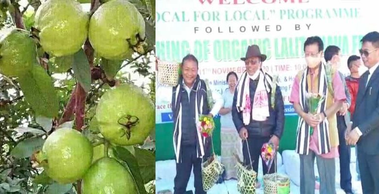 Arunachal: Agriculture Minister launches Organic Lalit Guava at Yachuli