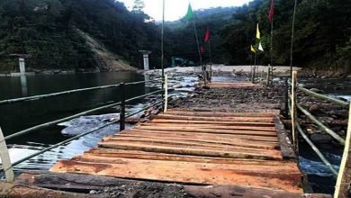 Arunachal: Students with locals constructed log bridge over river Papum