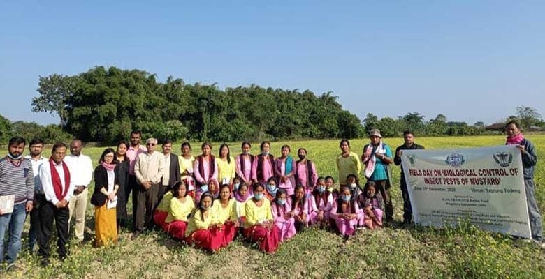 Arunachal: field day programme on ‘biological control of insect pests of mustard’ held at yagrung todeng village