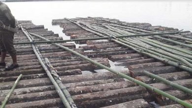 Arunachal: Two raft of illegal timber logs intercepted in between Seram Forest Beat and Borguli Wildlife Range