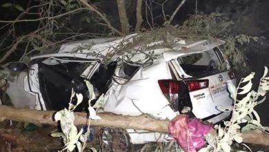 Karnataka : Union Minister Shripad Naik critically injured, wife and PS  killed in road mishap