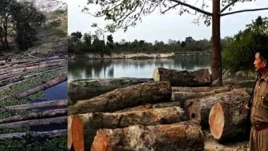 Arunachal: Central Mobile Squad with Pasighat FD destroys several illegal logs