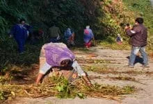 Itanagar: CCLCOSL conducts social service in Kasingsa