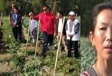 Itanagar: IMC Mayor visits Tai Ania's vegitables farm