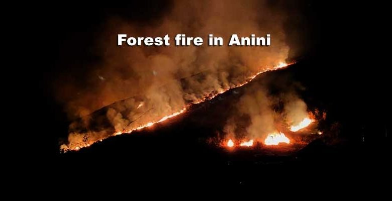 Arunachal: Forest Fire in Anini, doused with the help of Army