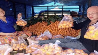 Arunachal: Anjaw oranges selling like hot cake in Lohit & Namsai market  