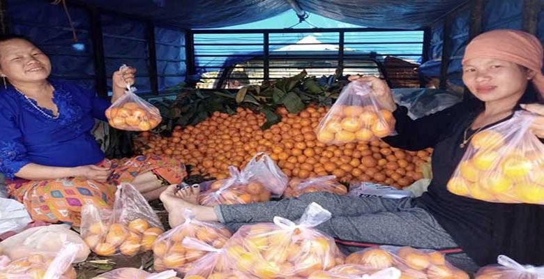 Arunachal: Anjaw oranges selling like hot cake in Lohit & Namsai market  