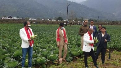 Arunachal towards Aatma Nirbhar, Ministers visit Cluster farming site at Bana