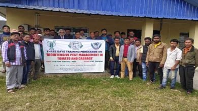 Arunachal:  Training on biointensive pest management in tomato and cabbage concluded at CHF, Pasighat 