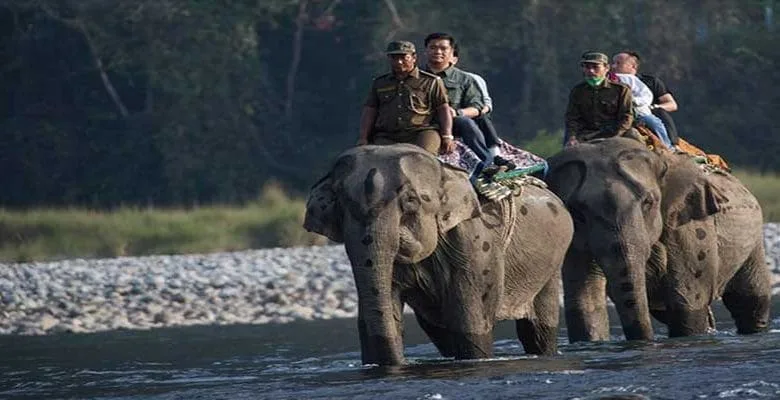 Arunachal: Pema Khandu Visits Namdapha National Park