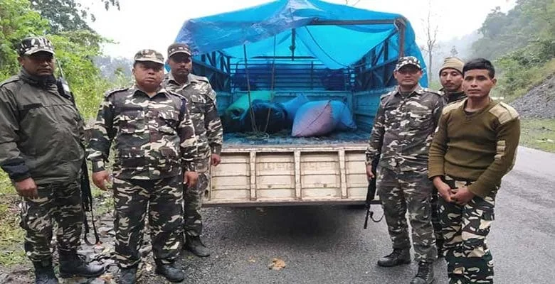 BALEMU- The 61 Bn of Sashastra Seema Bal seized huge quantity of Ganja( Cannabis ) in Balemu of West Kameng district, informed a SSB official.