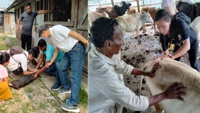 Arunachal: Live Stock Vaccination Camp held at Pakke Tiger Reserve