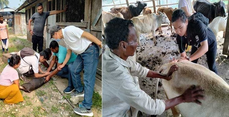 Arunachal: Live Stock Vaccination Camp held at Pakke Tiger Reserve