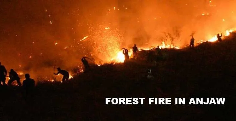 Arunachal: Indian Army Douses Raging Forest Fire in Anjaw