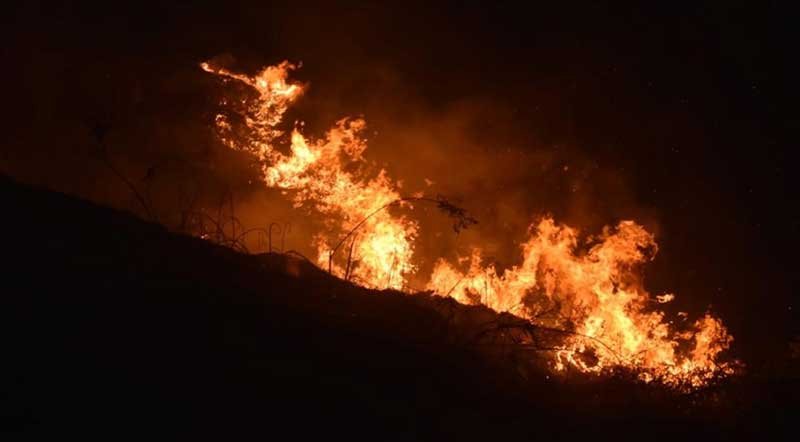 Arunachal: Indian Army Douses Raging Forest Fire in Anjaw 