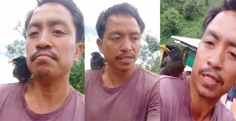 Arunachal: Friendship between Man and Bird