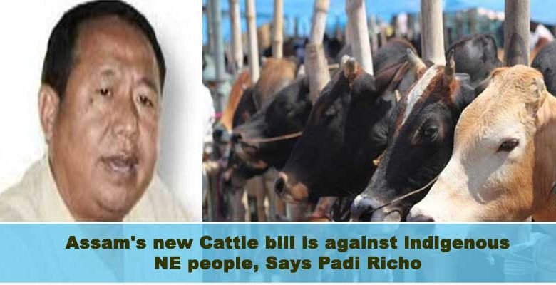 Assam's new Cattle bill is against indigenous NE people, Says Padi Richo