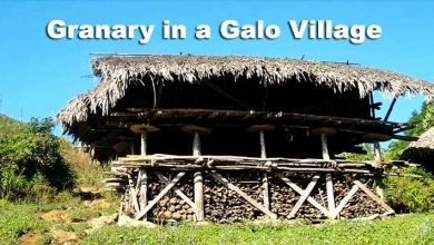 Arunachal: The culture of Granary in Galo Tribe, read all baout it