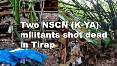 Arunachal: Two NSCN (K-YA) militants shot dead in Tirap