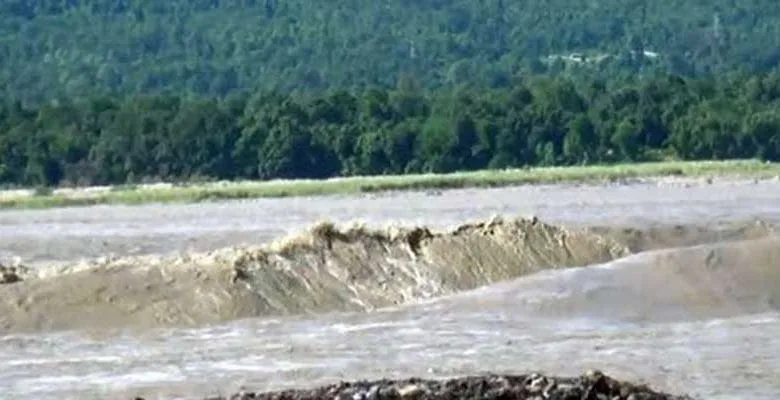 Heavy rains wreak havoc in Arunachal, large scale damage reported
