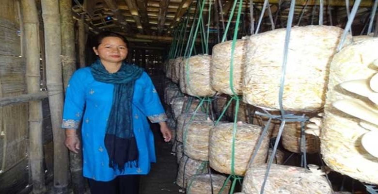 Arunachal: Cost effective Empowerment of Rural Women through Mushroom Farming