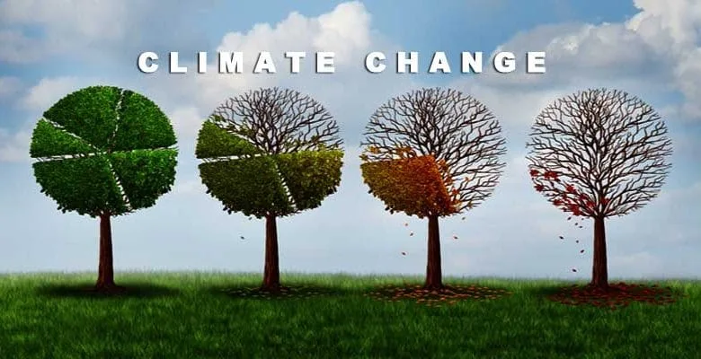 Arunachal among eight states in country higher vulnerable to climate change: Study
