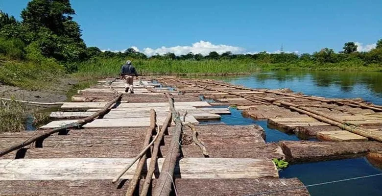 Arunachal: Wildlife team detects illegal timber 138 logs, informs territorial forest for seizure