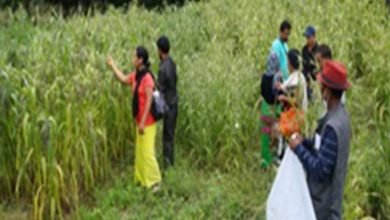 Arunachal: ICAR Basar organizes farmers field day programme for farmers