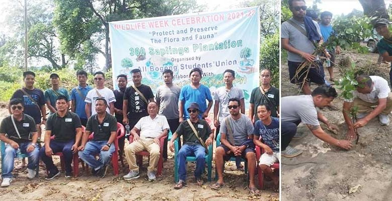 ABSU with Pasighat Forest Division plants 300 saplings marking Wildlife Week
