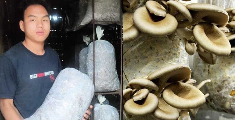 Arunachal: 13-Years-old school dropout boy starts Mushroom Farming