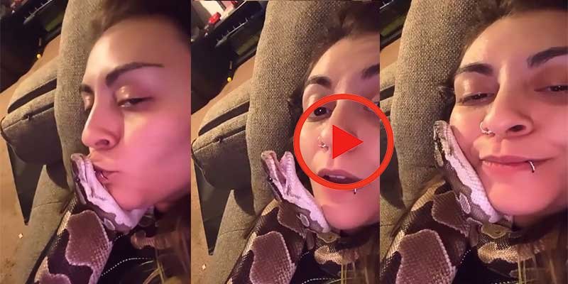 800px x 400px - VIRAL VIDEO: Girl Kisses Her Pet Snake, netizens can't calm
